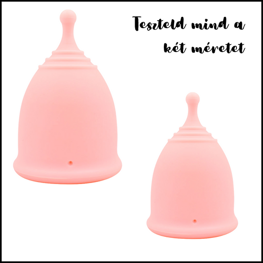 menstrual cups duo pack