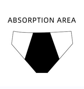 absorption area